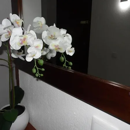 Happy House-fantastic With Amenities Apartment *